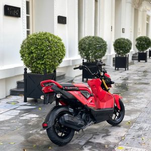 z7122024598719 f6a87c4b5b63c3e0387da515b211098a