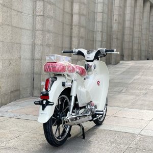 z7157363430462 529814e89841b0c0849afbd0c425dbcc