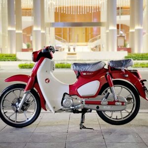 Honda Super Cub 125 29AB-66666 5 z7162002491308 18e29f39162623a7f1eae927221a591f