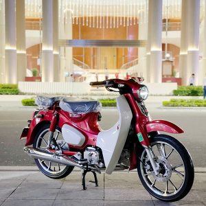 Honda Super Cub 125 29AB-66666 4 z7162002496553 1b697dd05eebc3e2ac7bc4309ca98ad9