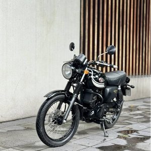 Kawasaki W175 SE 2021 7 575113619 3383611028453138 2413108122647988268 n