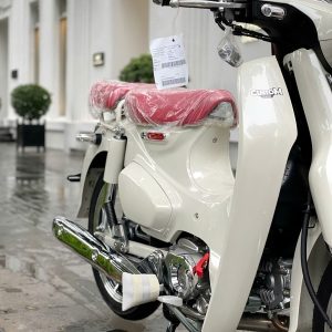 z7233766223324 281831b99da488a6902176f387c01834