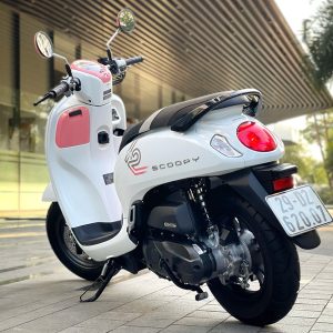 z7248318290309 728a49156dbe31b146d9d3472656e931