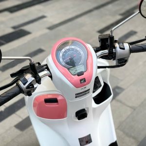 z7248318327008 35312ea772f04808808aa3ba5ae8937b