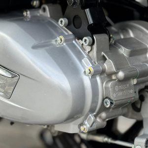 600225425 3431423687005205 410703188129888387 n