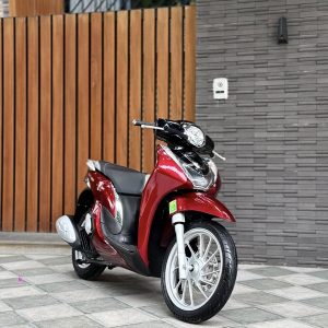 605603841 3439607469520160 5049428222494978329 n