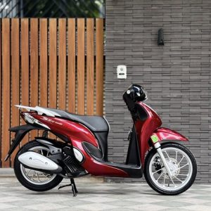 605939043 3439607596186814 8598802292896922834 n