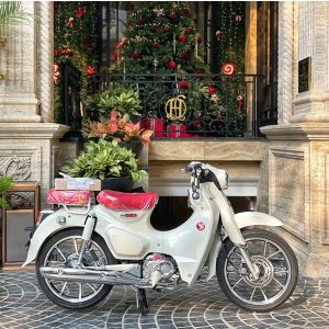 z7305226276022 94e5d0addc25e0080a67910e91e2e626