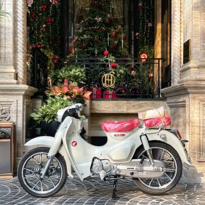 z7305226318367 61c7fc3e7c82bf3f1ac295b1aee7b90e