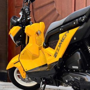 z7426069407309 5e44443a7a050466ebebfb7c695e1088