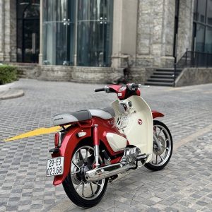 623794158 3478109359003304 7084599706426061645 n