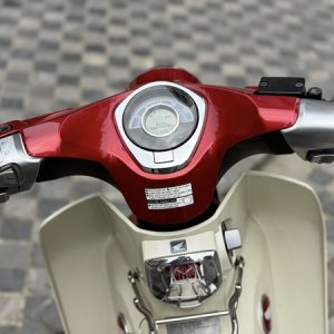 624498828 3478109432336630 1414335580512608896 n