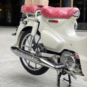 z7511063845804 70082af5192284dbe4ce1da53448590c