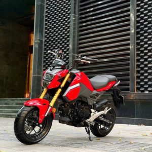 Honda MSX 125 2018 29P1-679.97 7 z7911451305991 3ac5d1a0783f41dad432fbdb6462482d