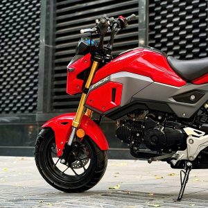 Honda MSX 125 2018 29P1-679.97 4 z7911451361885 b36124519823f903574ab9699e4eada4