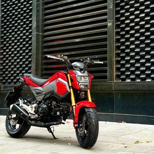 Honda MSX 125 2018 29P1-679.97 1 z7911451466446 577089dacecde878f3fee2de22d97a0b