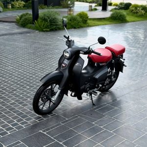 Honda Super Cub C125 2026 (Hồ Sơ Thu Hồi) 5 z7935528430677 2f108345533e02c8bdd0eff36c67eb26